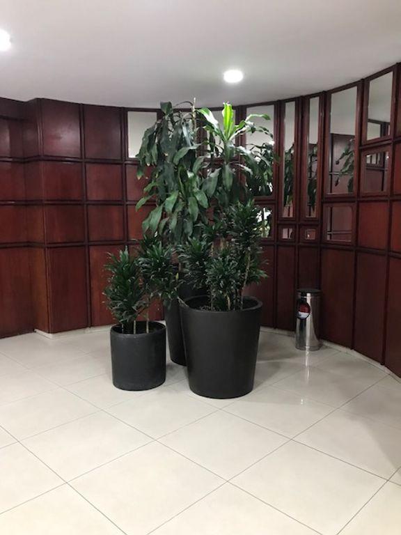 Foto de la galeria de imagenes